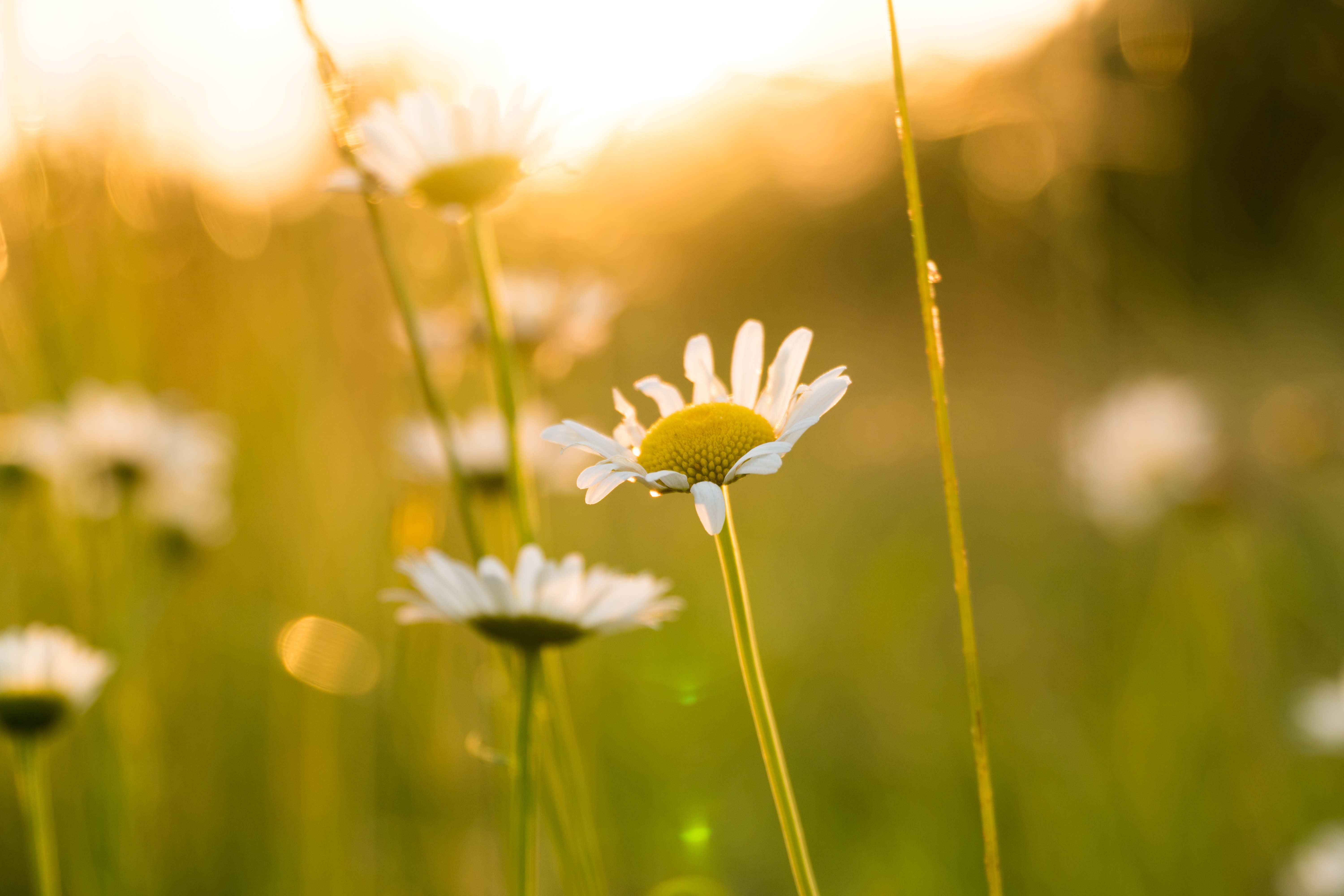 A Home at Rest – Spiritual R.E.S.T. – Video 4