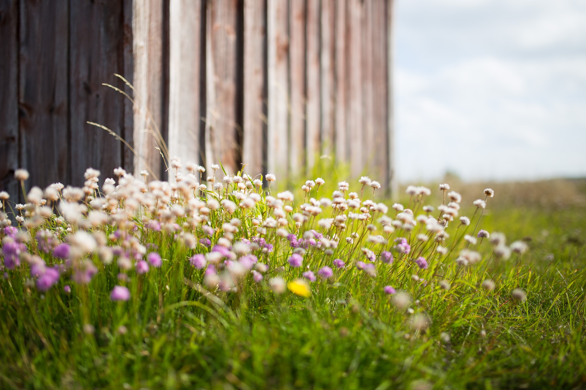 The Blessings of Forgiveness – 3 Part Series