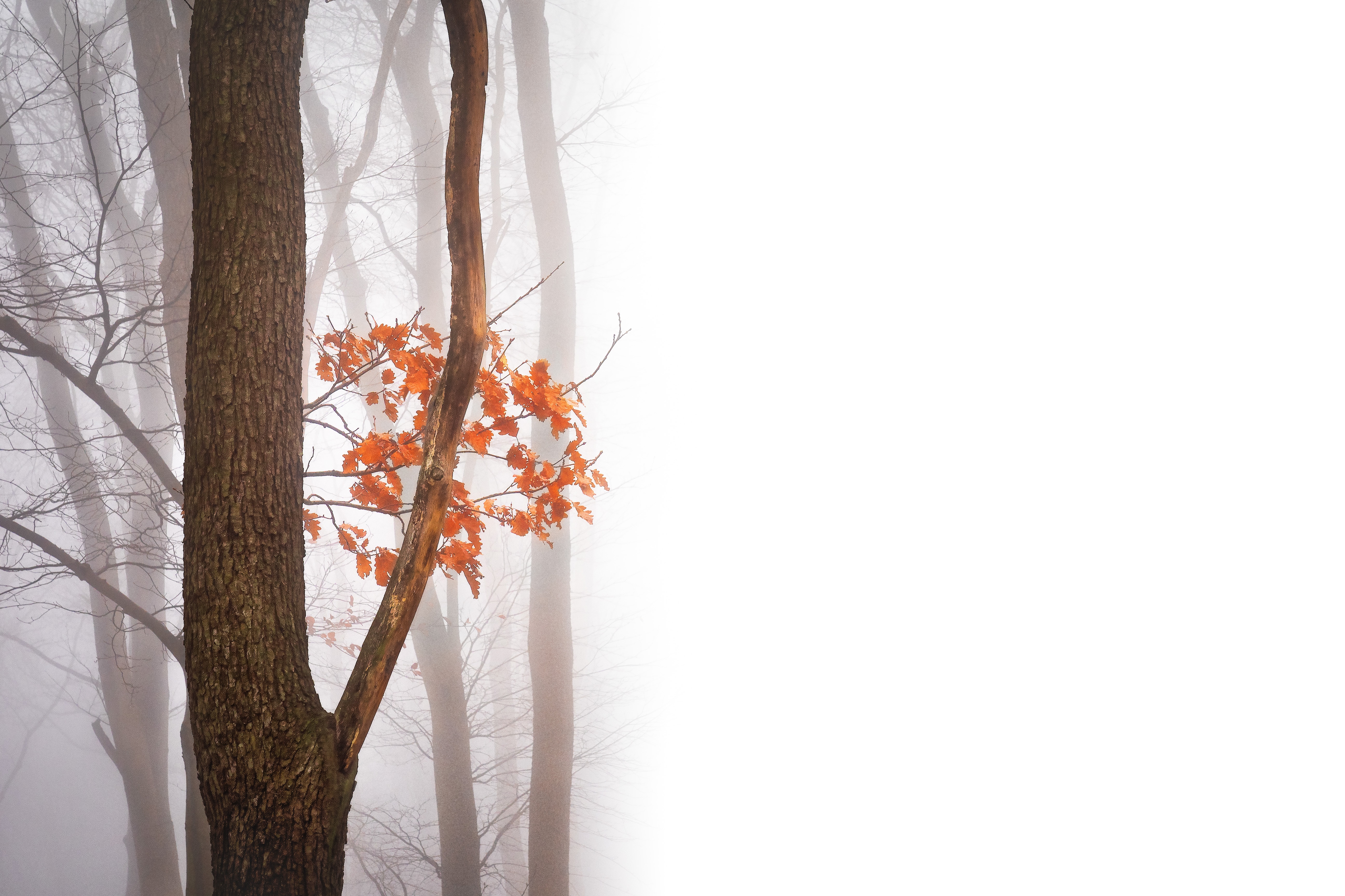 Greater Intimacy with God – Lesson 2