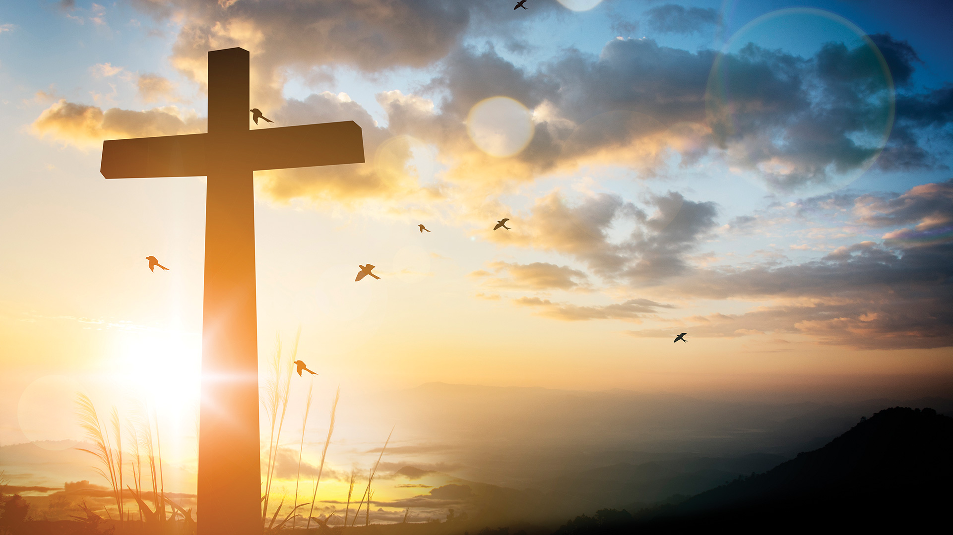 The Power of the Cross