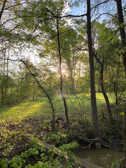 Rise and Shine!