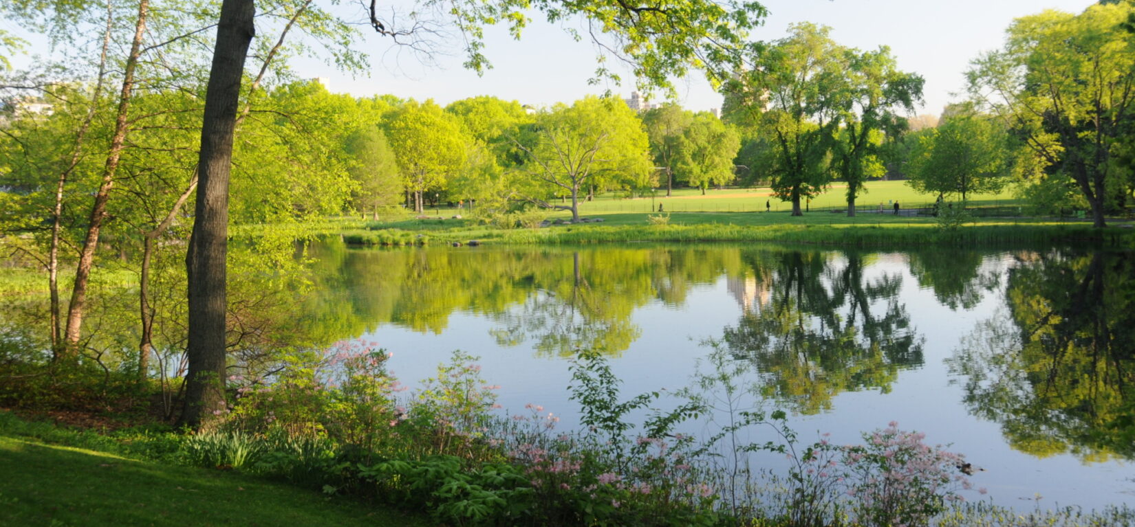 I Will Rejoice – by Charles Spurgeon