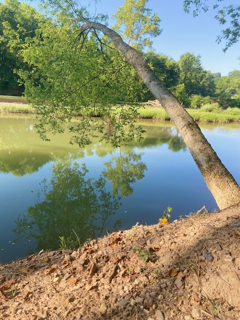 5 Day ReFresh Retreat