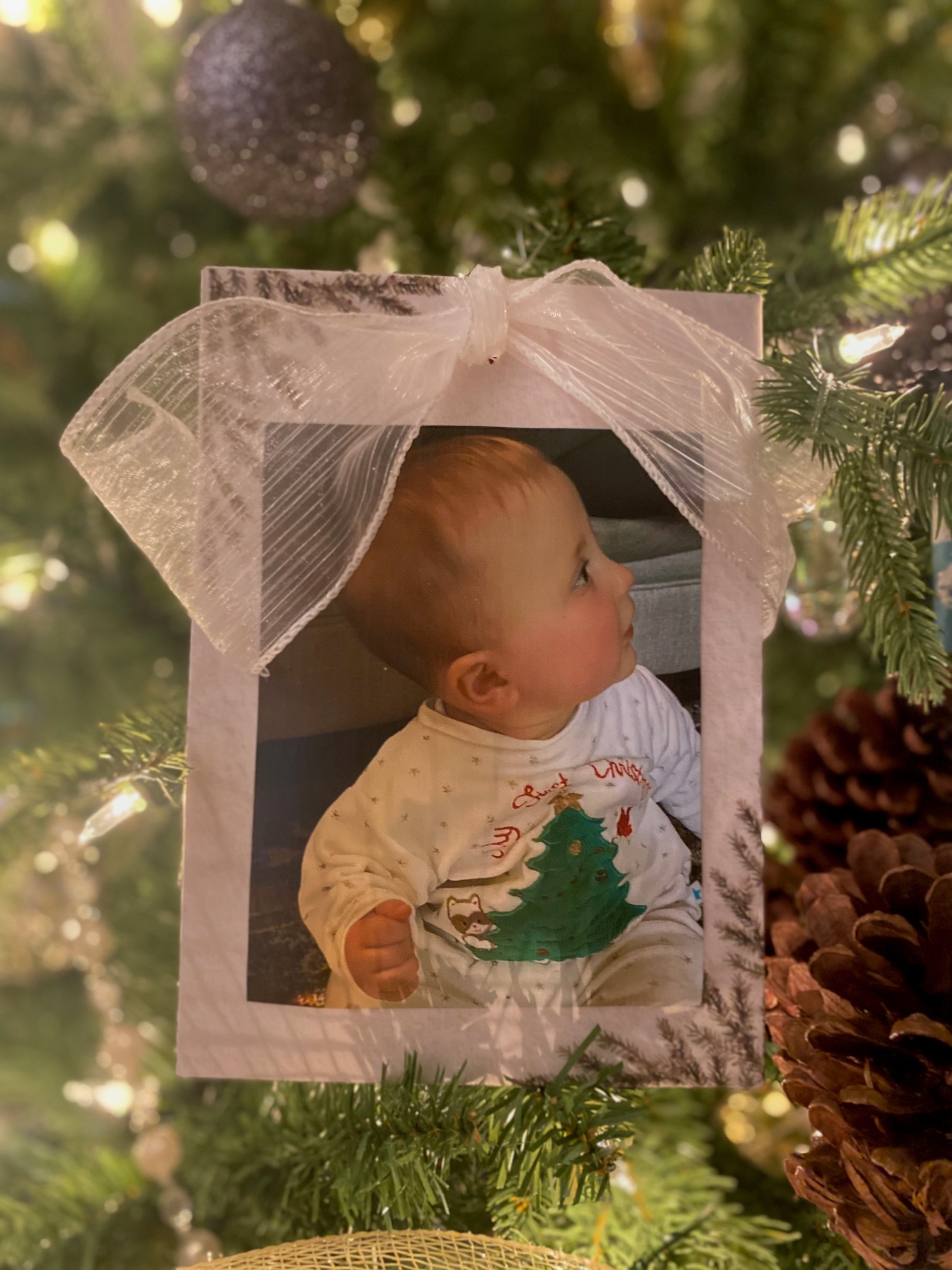 Traditional Christmas Family & Friend Celebration!
